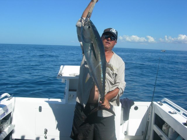 dampier reef